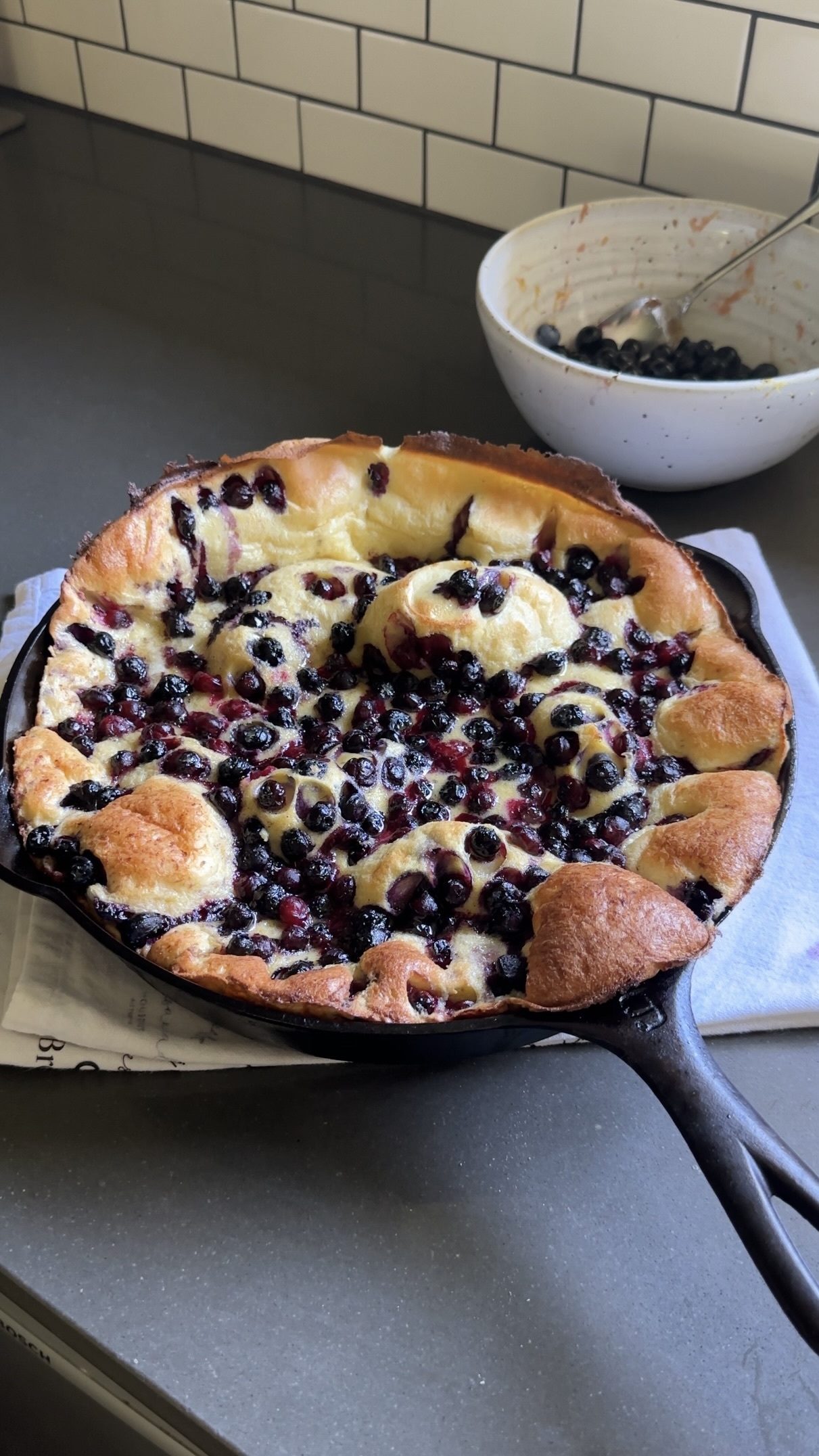 blueberry-muffin-dutch-baby