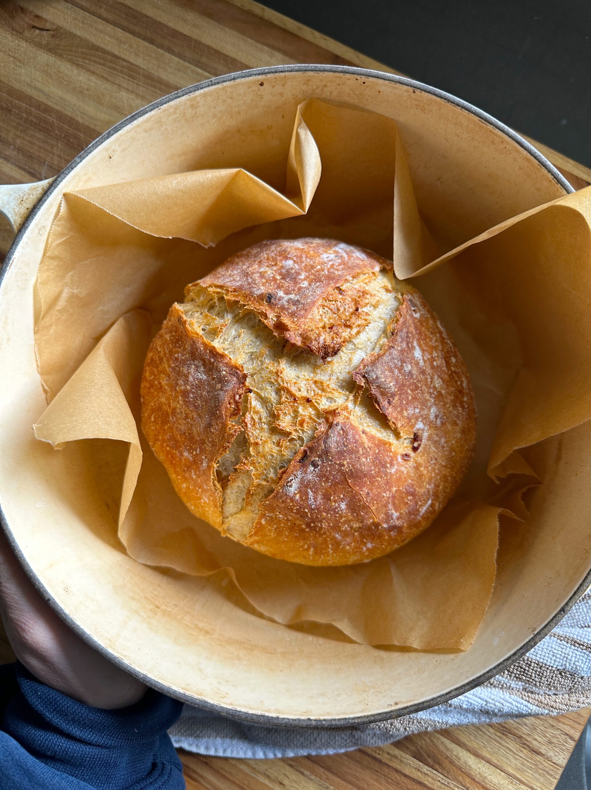 no-knead-cottage-cheese-bread