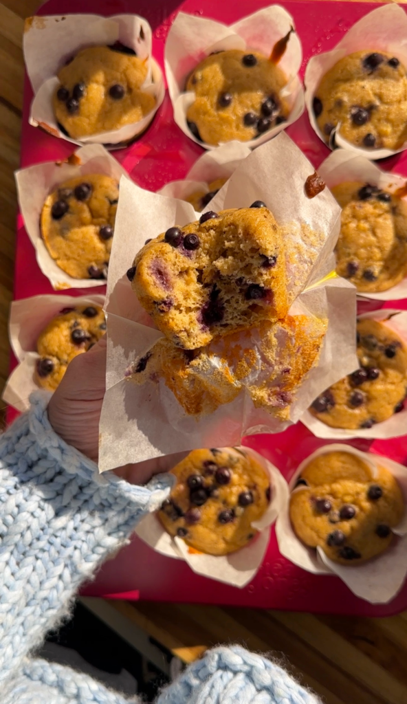 blueberry muffins in paper wrappers