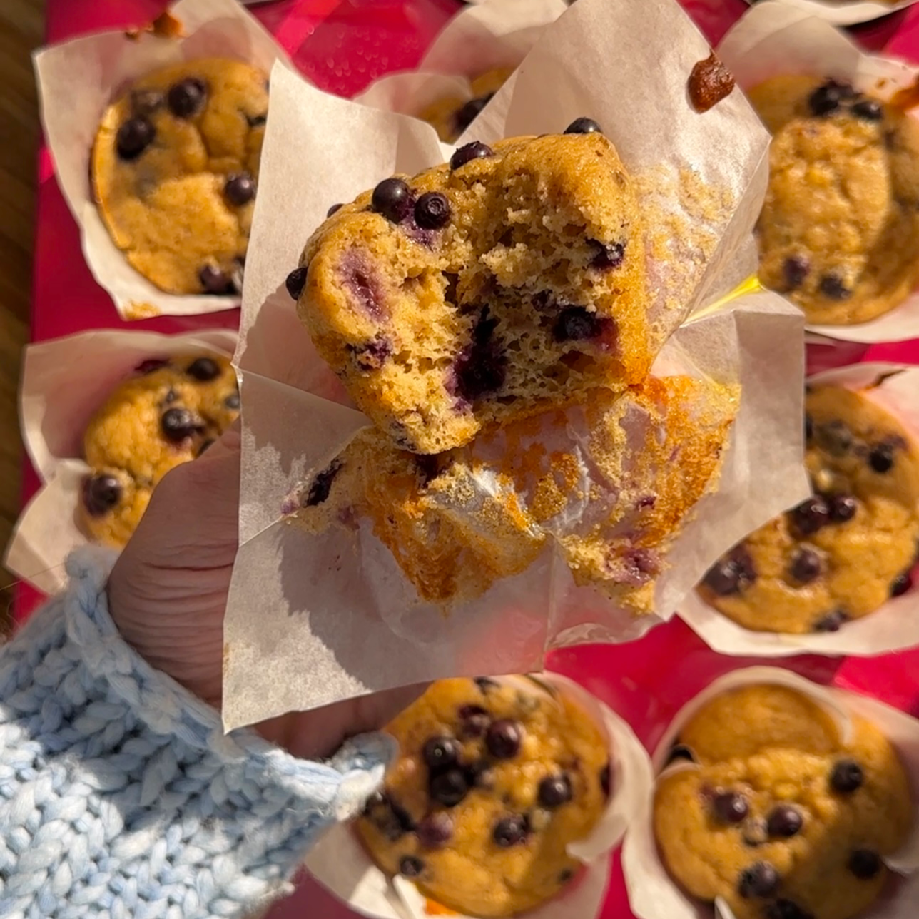 blueberry muffins in paper wrappers
