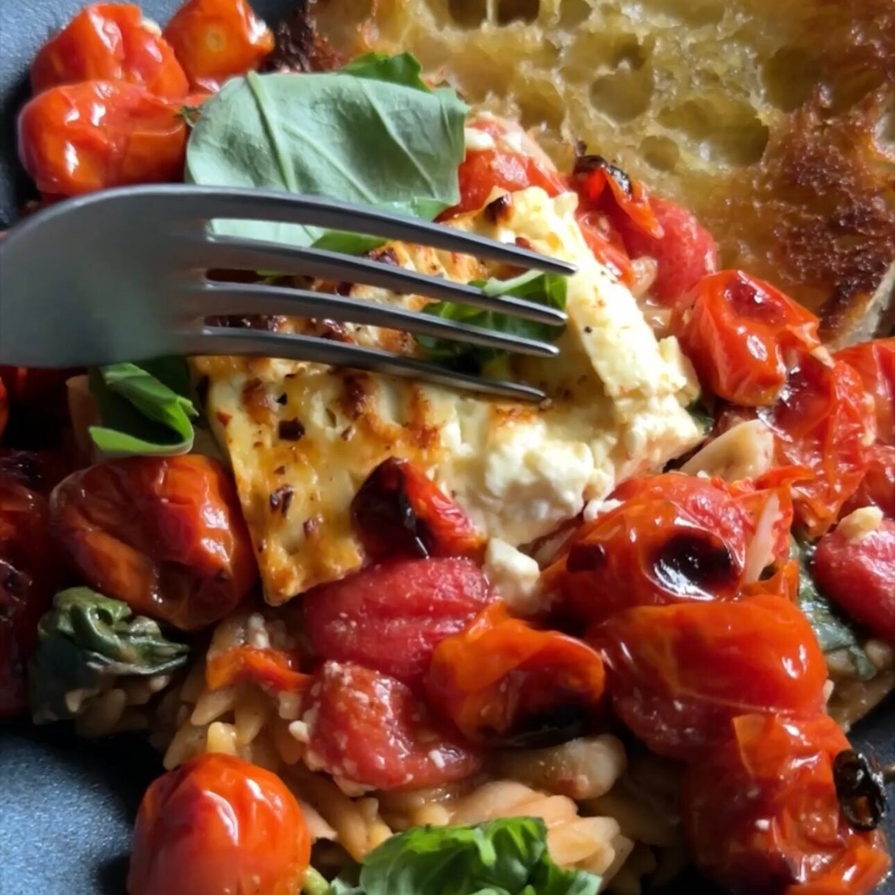 blistered-tomatoes-feta-orzo