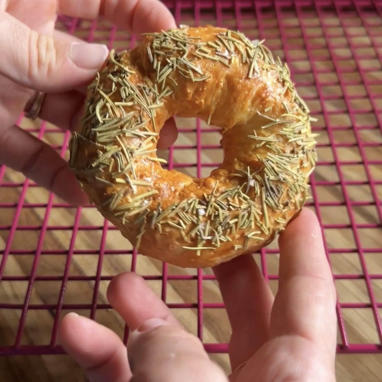 hands holding a rosemary sea salt greek yogurt bagel above a pink cooling rack