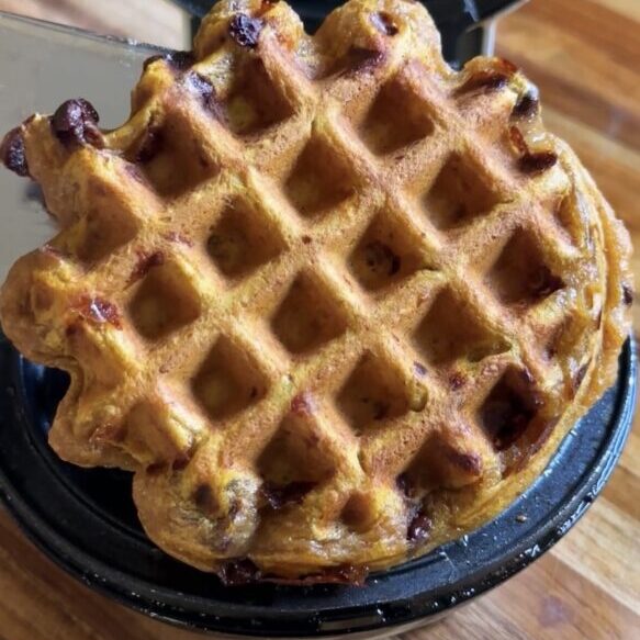 pumpkin protein toaster waffles